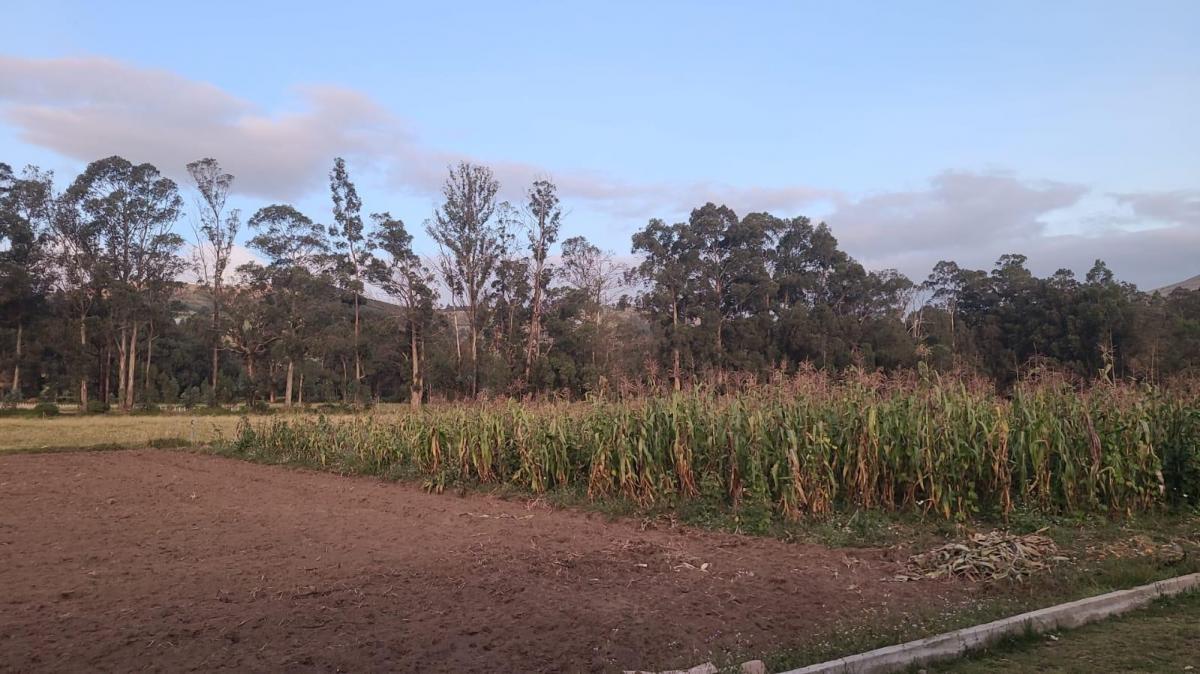 Cayambe - Terreno en Venta - Sector Geodésico Mitad del Mundo — imagen 5