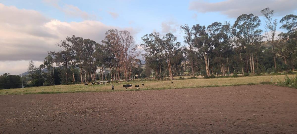 Cayambe - Terreno en Venta - Sector Geodésico Mitad del Mundo — imagen 3