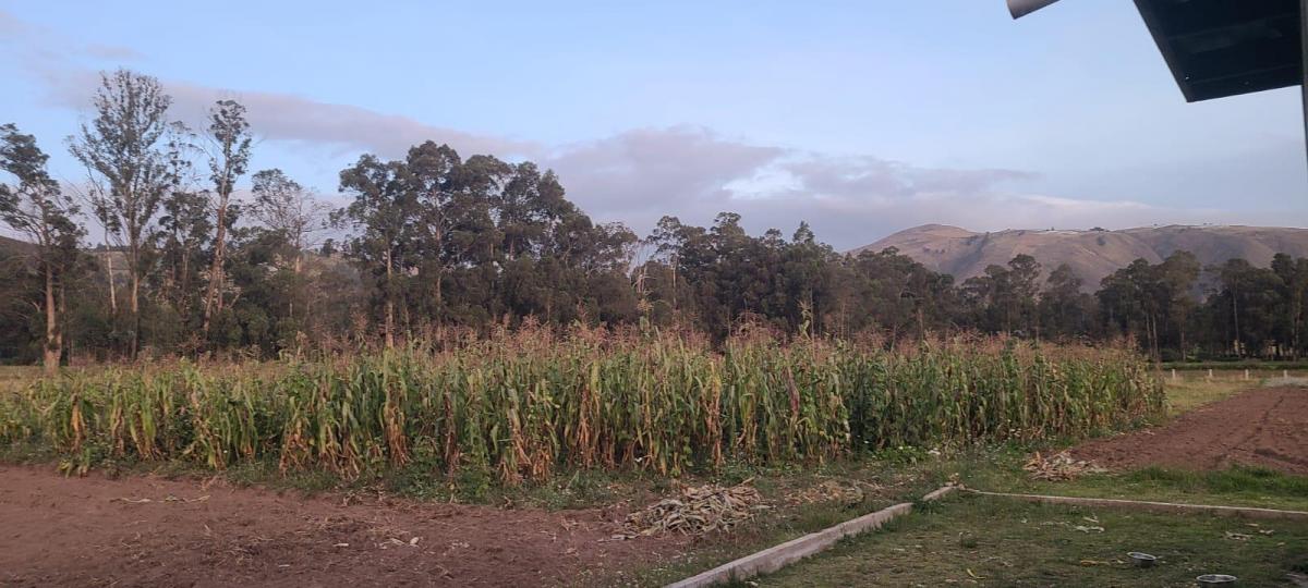 Cayambe - Terreno en Venta - Sector Geodésico Mitad del Mundo — imagen 2