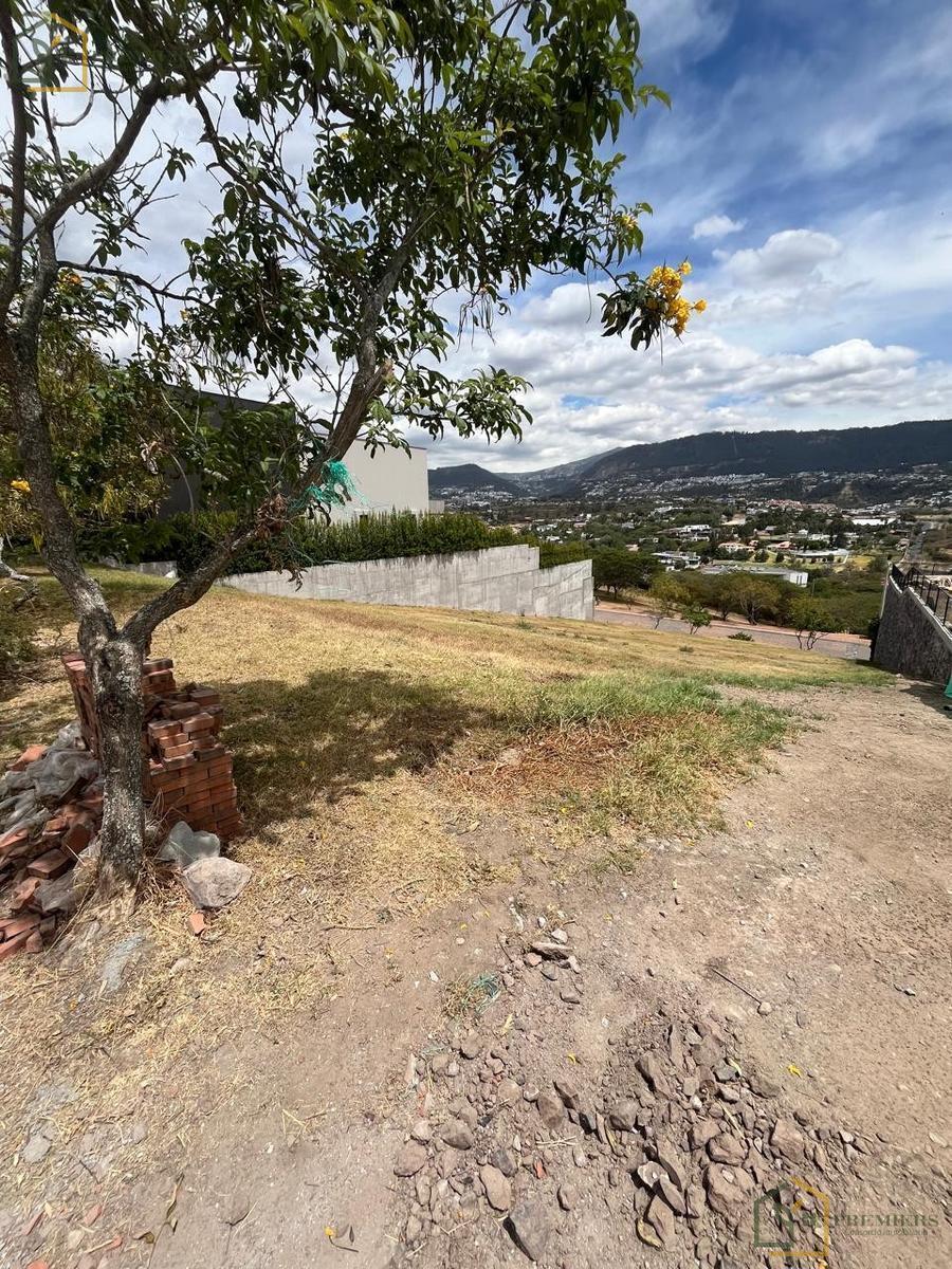 Terreno de Venta en Urb. La Quinta — imagen 6