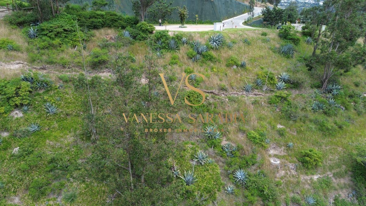 Terreno de 1137 m² en Venta en Urbanización Privada en Cumbayá — imagen 7