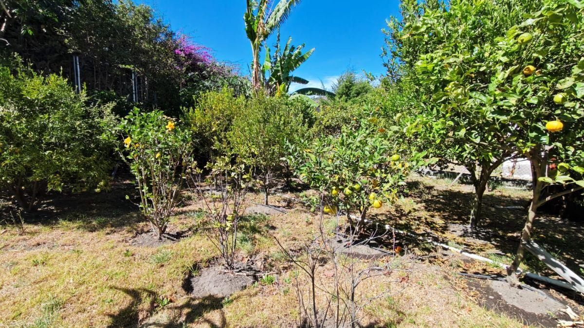 Casa con Terreno Independiente La Morita 650 m² — imagen 6