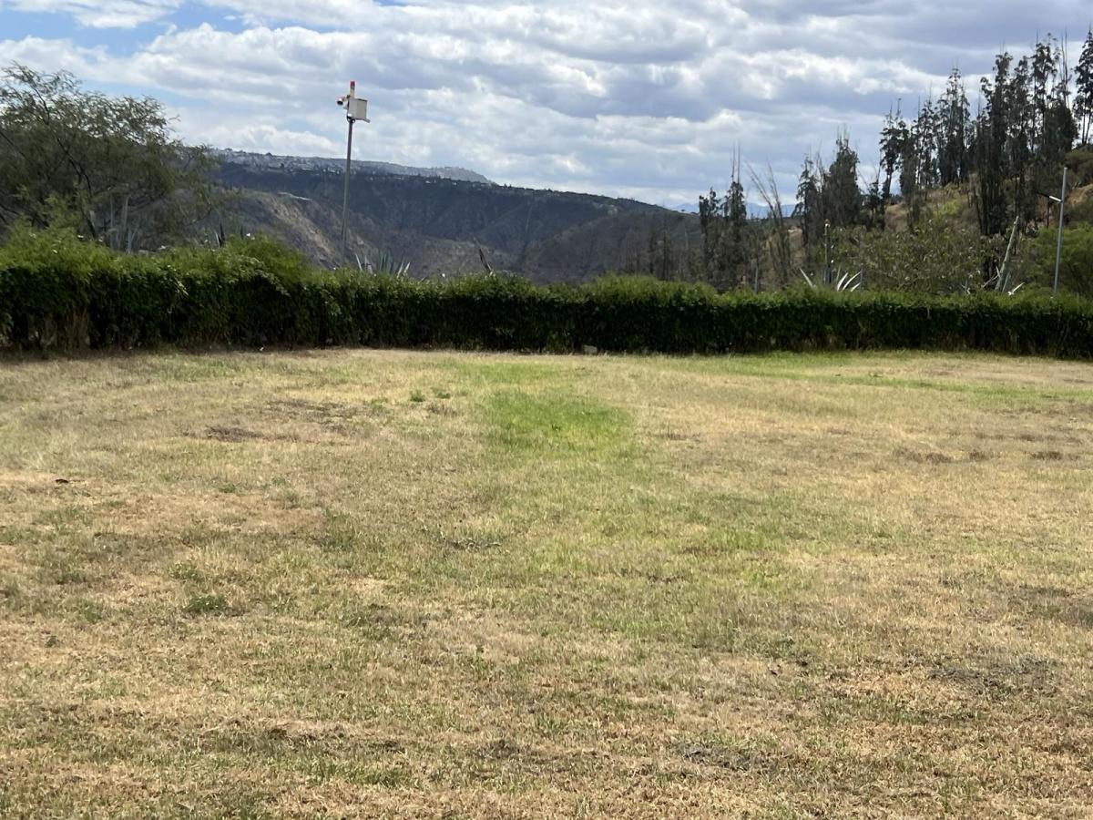 Venta Terreno en Cumbaya en Urbanización Exclusiva — imagen 10