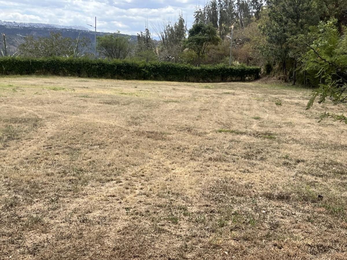 Venta Terreno en Cumbaya en Urbanización Exclusiva — imagen 9