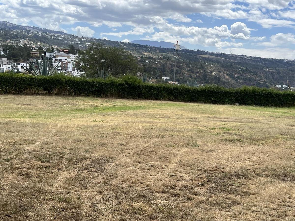 Venta Terreno en Cumbaya en Urbanización Exclusiva — imagen 8