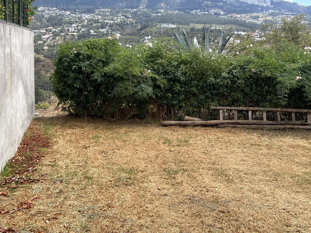 Venta Terreno en Cumbaya en Urbanización Exclusiva — imagen 6