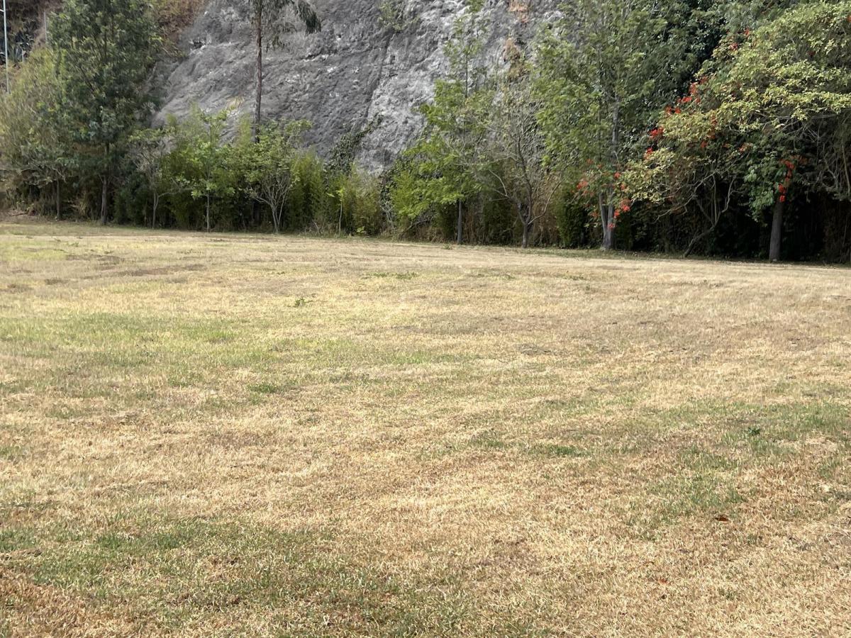 Venta Terreno en Cumbaya en Urbanización Exclusiva — imagen 5
