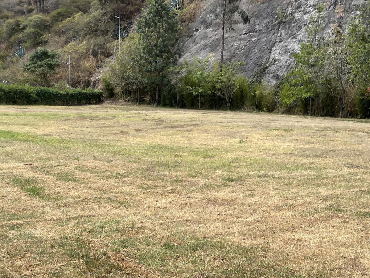 Venta Terreno en Cumbaya en Urbanización Exclusiva — imagen 4