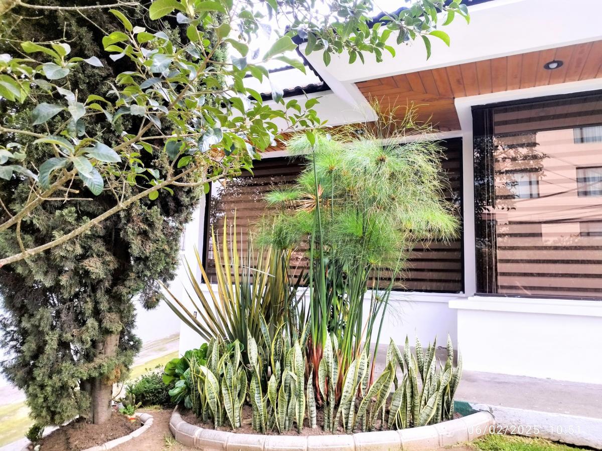 Casa de Venta 4 Dorm. Ponceano375 Quito — imagen 9