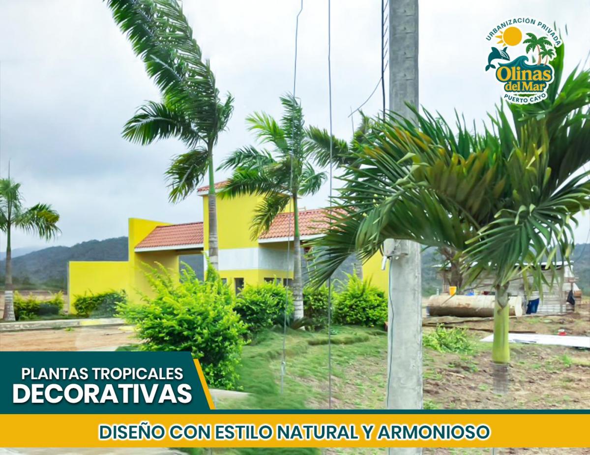 Terrenos en Puerto Cayo a 1,5 Km de La Playa | Urbanización Privada | Financiamiento Hasta 80 Meses, Manabí — imagen 3
