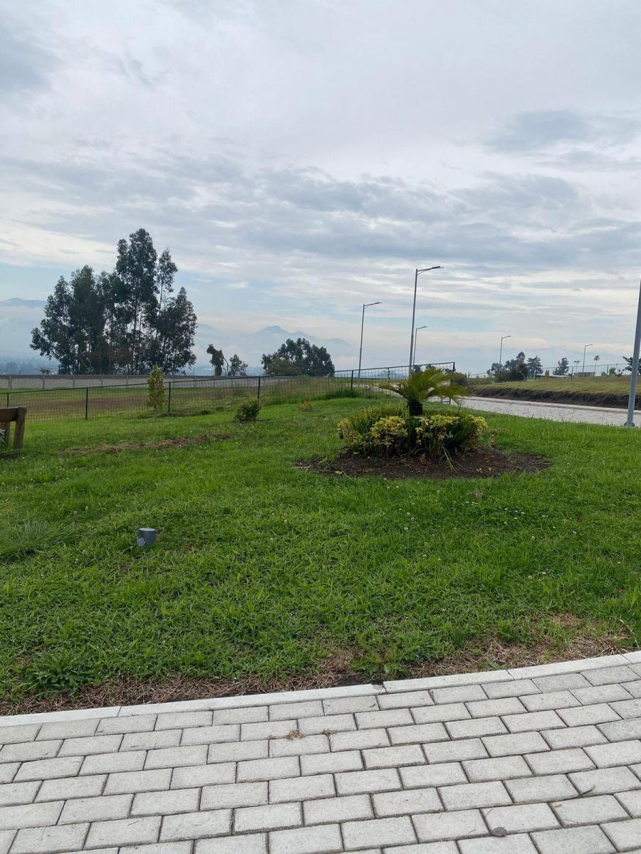 De Venta Hermoso Terreno (Checa) — imagen 6