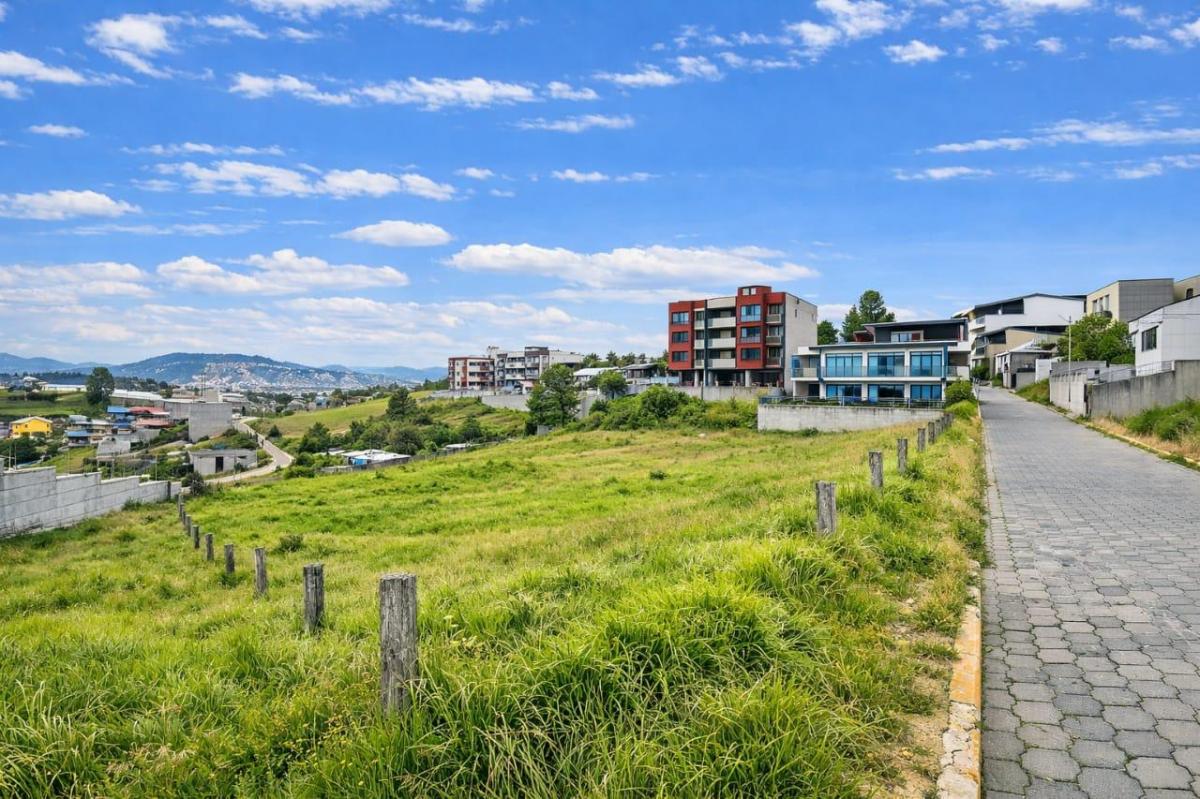 Terreno de 2583 m² en Venta en La Argelia, Plusvalía Garantizada — imagen 2