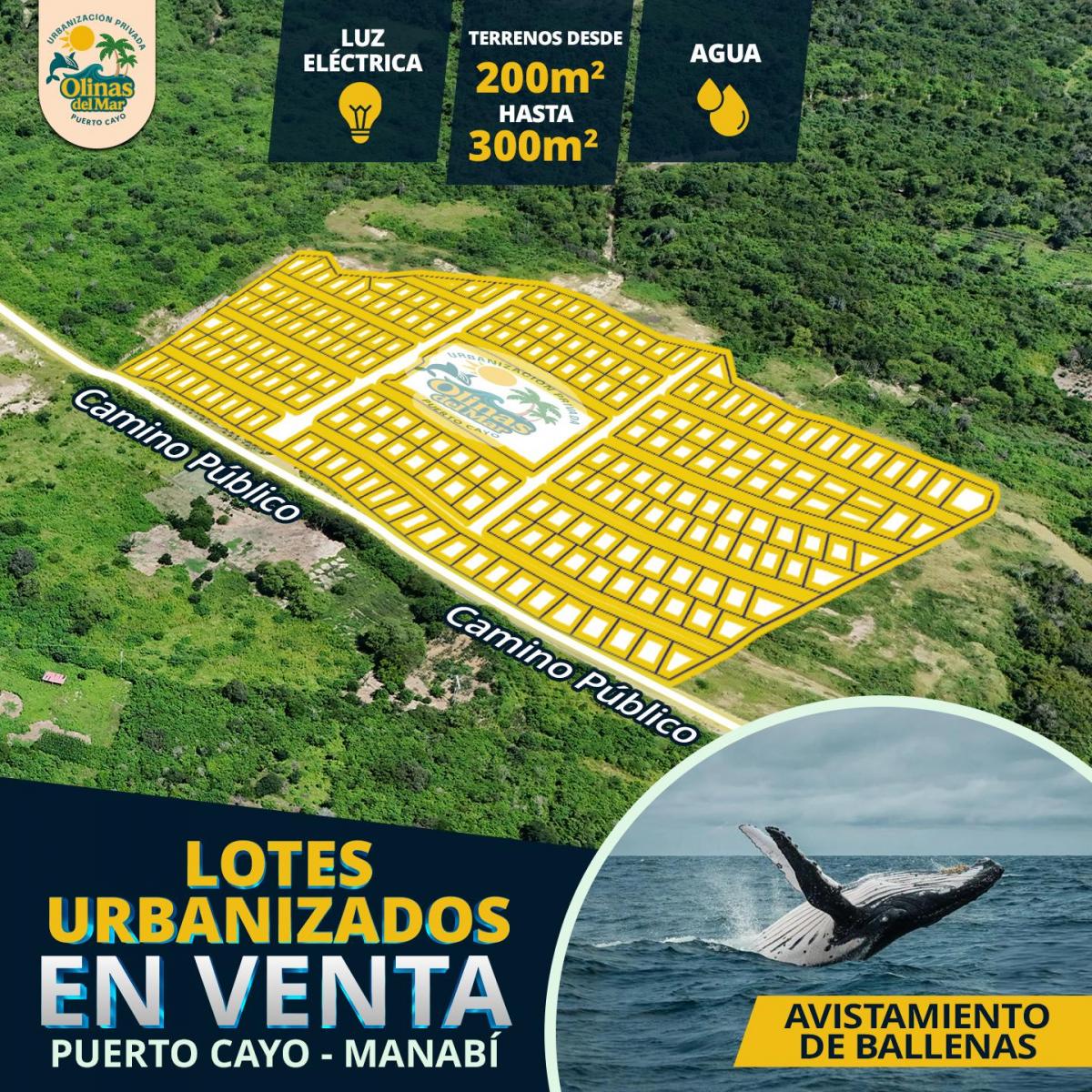Lotes, Terrenos Propiedad Desde $9,200 en Puerto Cayo Cerca Al Mar — imagen 3