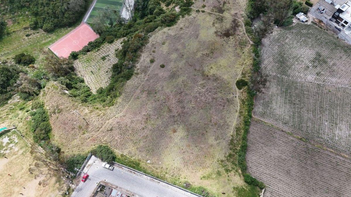 Oportunidad Venta de Macrolote Centro de Calacali — imagen 7