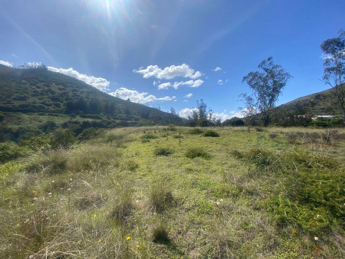 Oportunidad Venta de Macrolote Centro de Calacali — imagen 3
