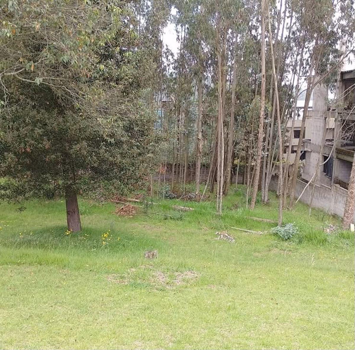 Vendo 2960 m, en Las Bromelias, Monteserrkn Para Proyecto Inmobiliario. Provincia de Pichincha — imagen 6