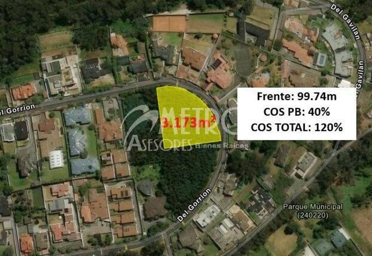Terreno de 3.173 m² en Venta Dentro de La Urbanización Campo Alegre — imagen 10