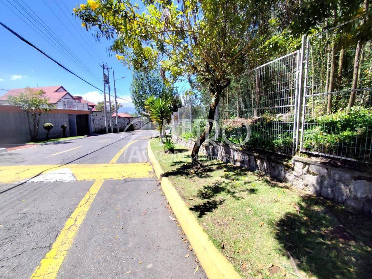 Terreno de 3.173 m² en Venta Dentro de La Urbanización Campo Alegre — imagen 8