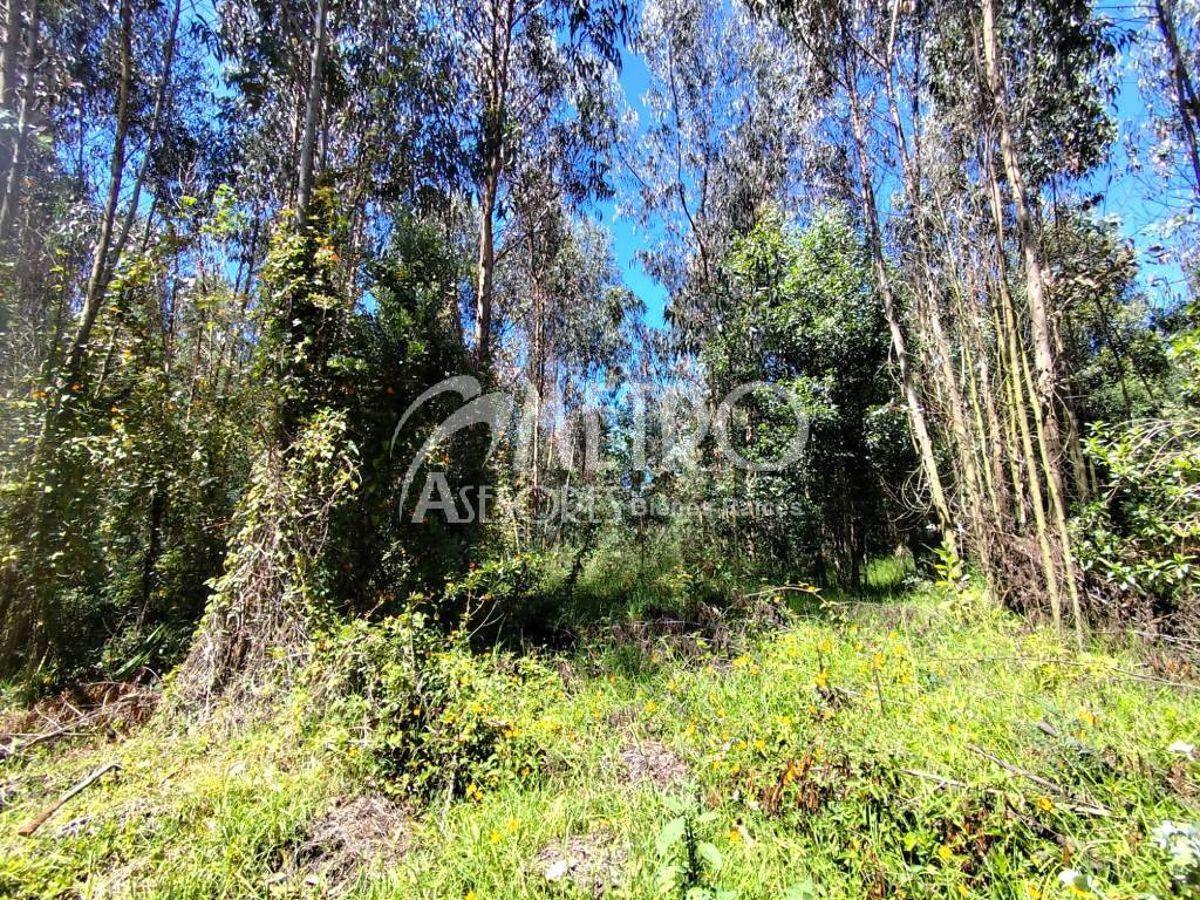 Terreno de 3.173 m² en Venta Dentro de La Urbanización Campo Alegre — imagen 2