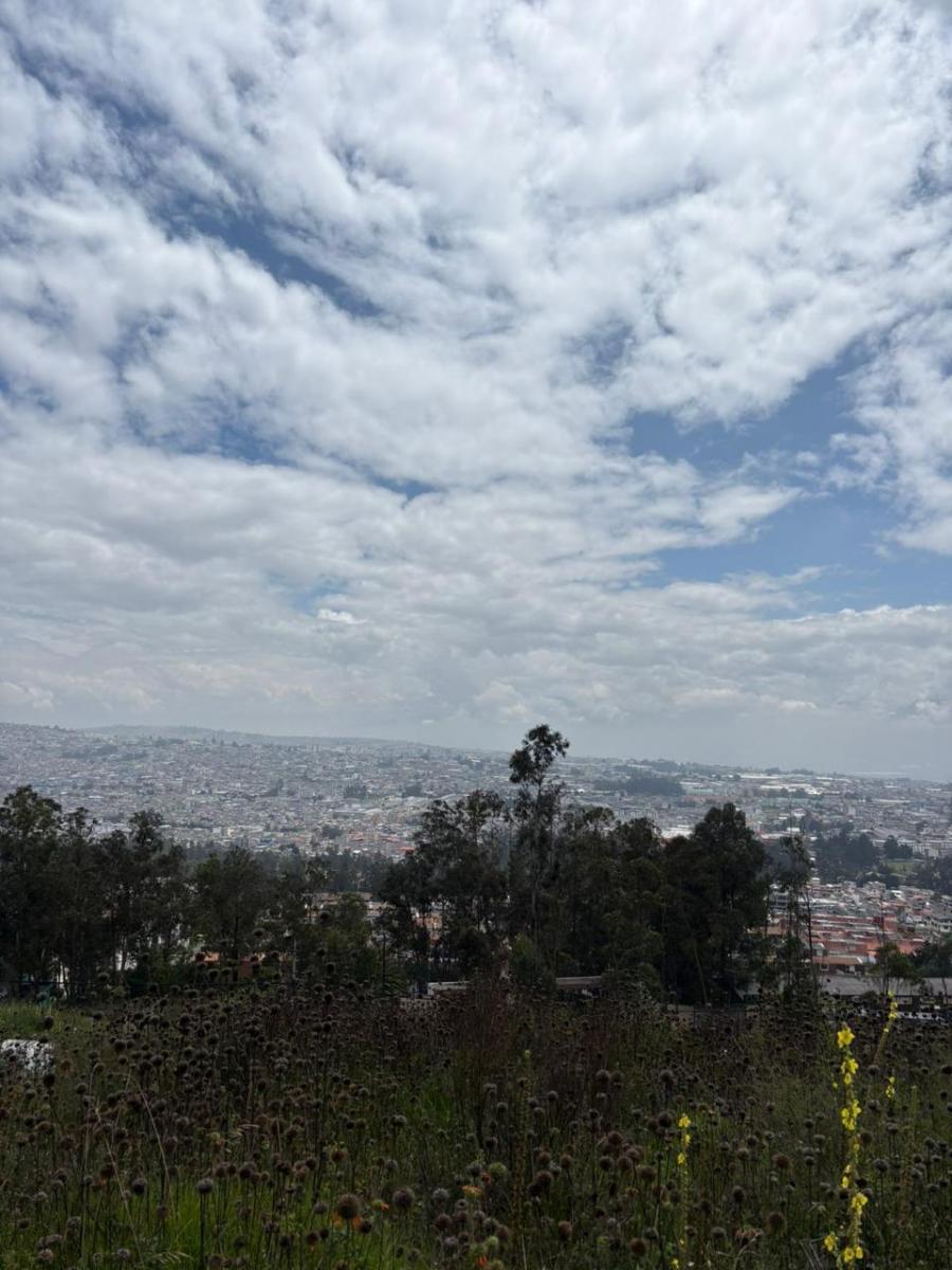 Terreno en Bellavista Carretas — imagen 5