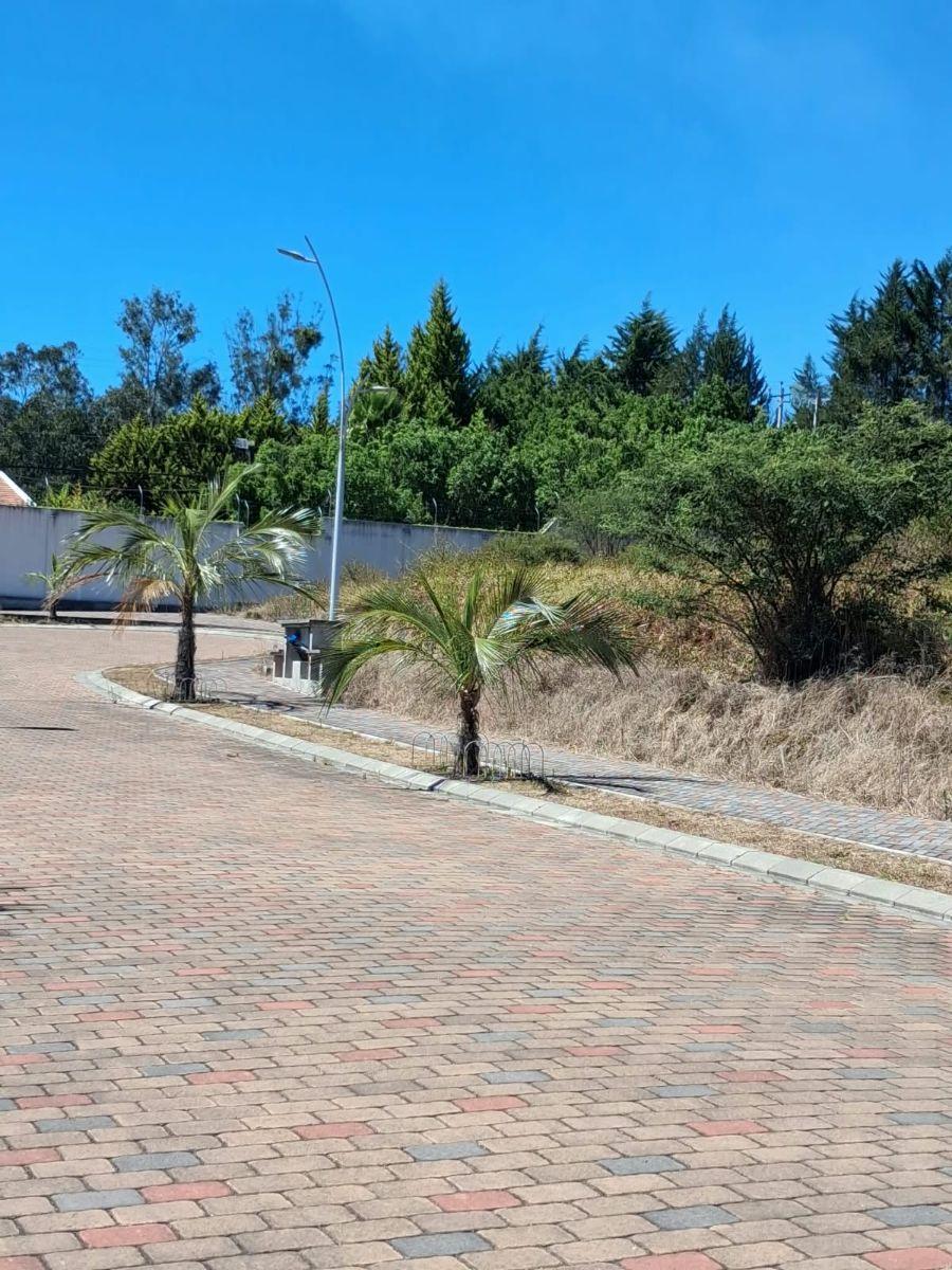 Hermosos Lotes de Venta, Urbanizacion Cerrada — imagen 4