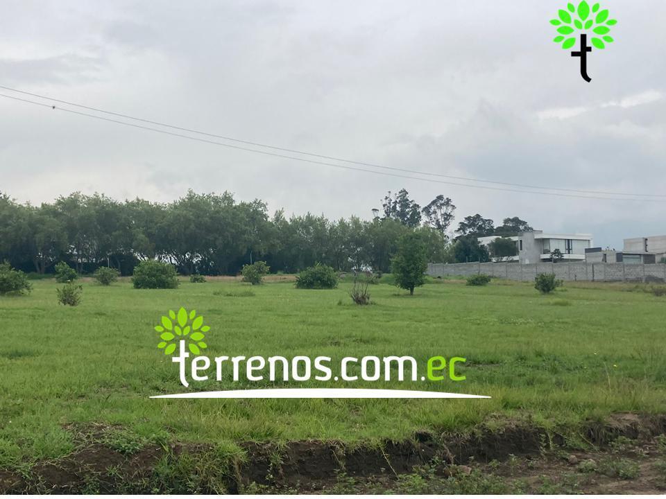 Terreno Unifamiliar en Venta, 2577,44 m². Tumbaco - Plaza Hilacril — imagen 7