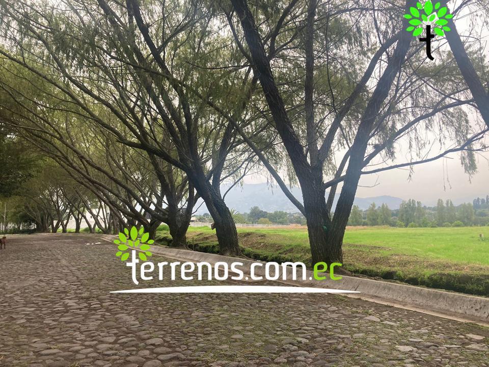 Terreno Unifamiliar en Venta, 2577,44 m². Tumbaco - Plaza Hilacril — imagen 4
