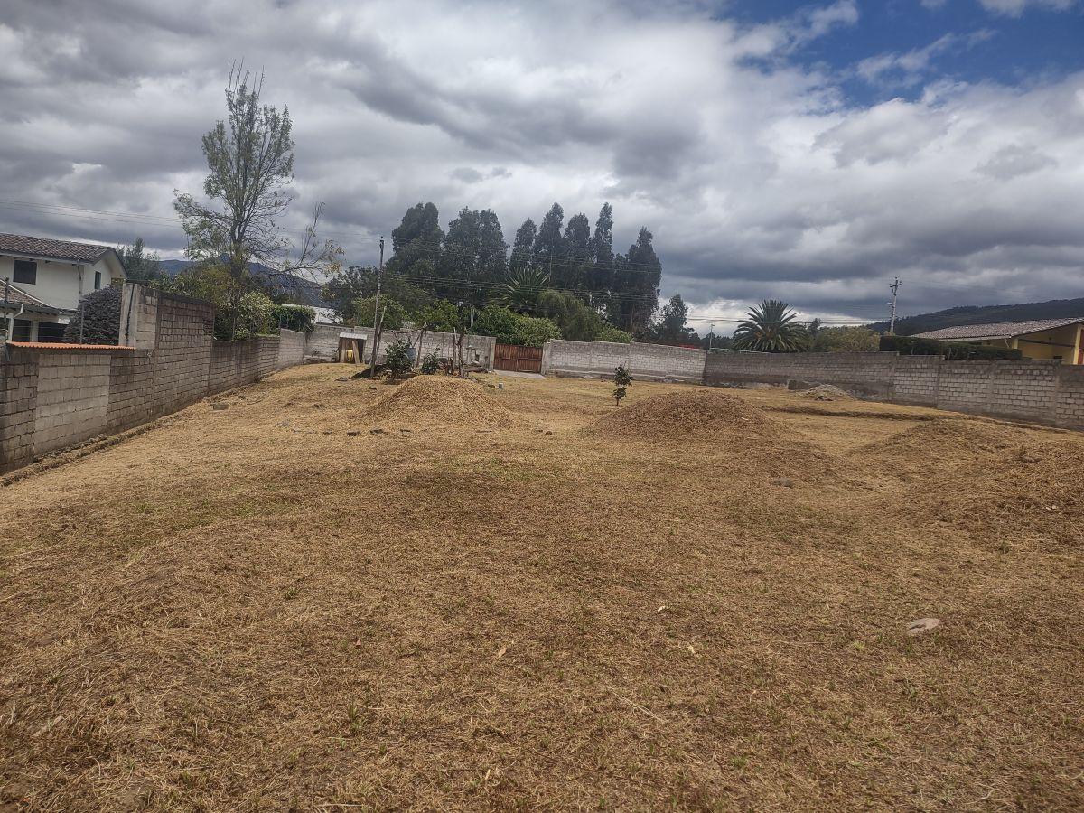 Terreno en Venta 2.231 m², Cerramiento y Servicios Básicos Instalados, Conocoto, Valle de Los Chillos — imagen 10