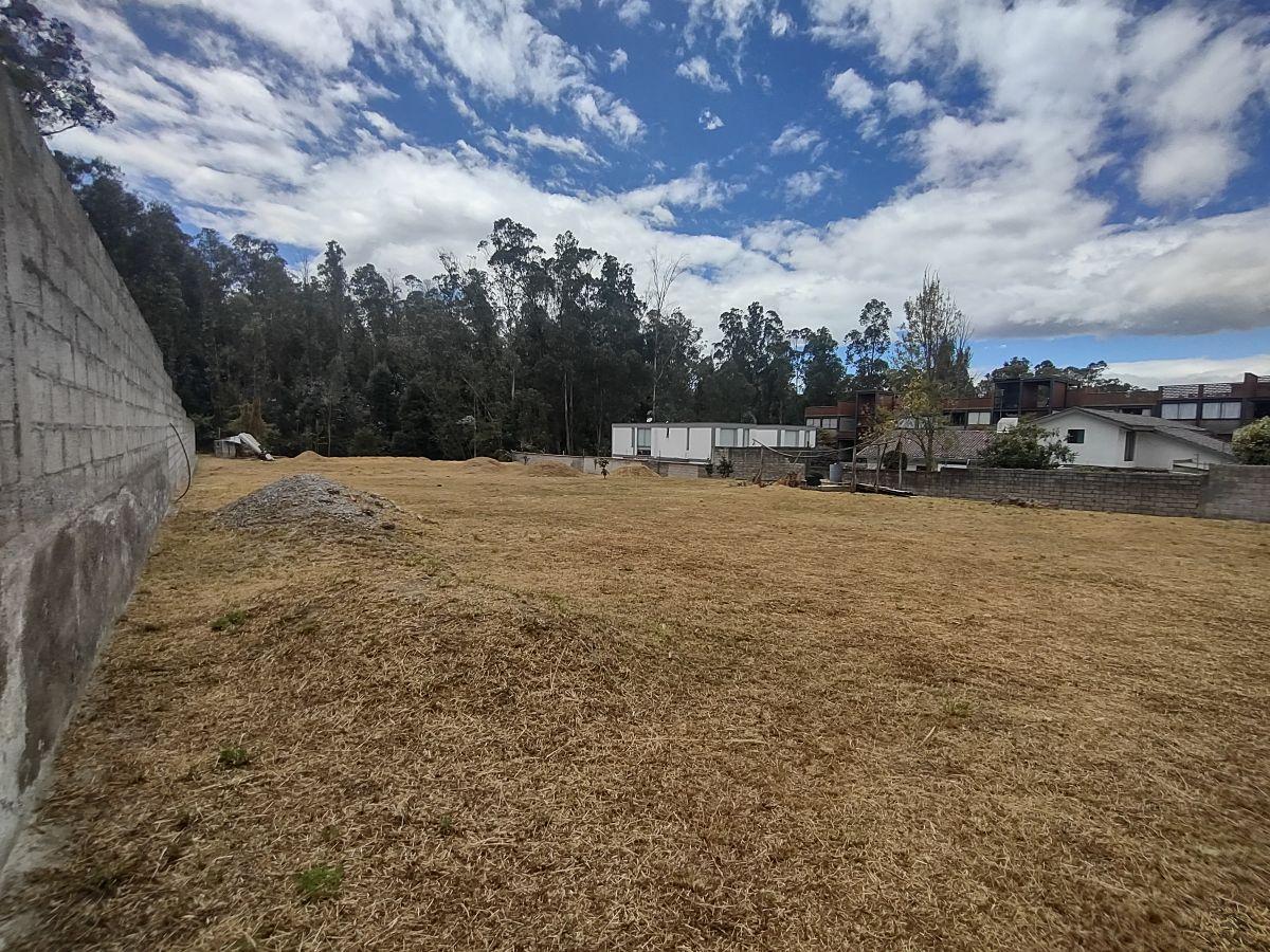 Terreno en Venta 2.231 m², Cerramiento y Servicios Básicos Instalados, Conocoto, Valle de Los Chillos — imagen 2