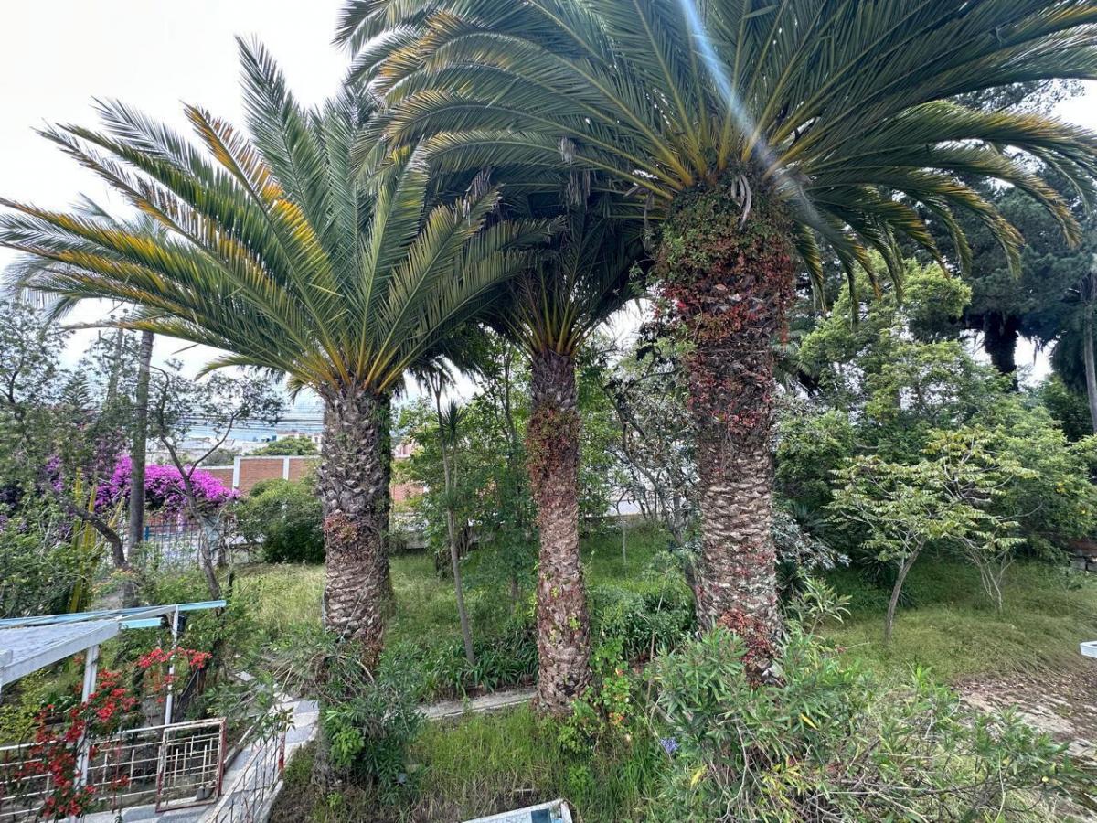 Terreno en Calderón — imagen 7