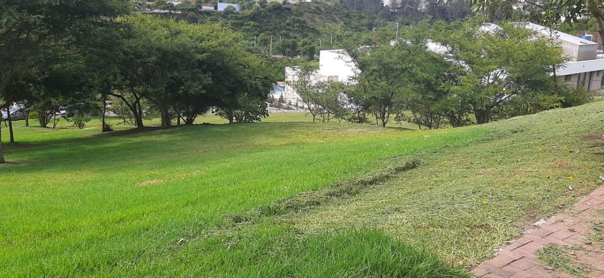 Terreno de Venta en Cumbayá, Urb. La Quinta — imagen 4