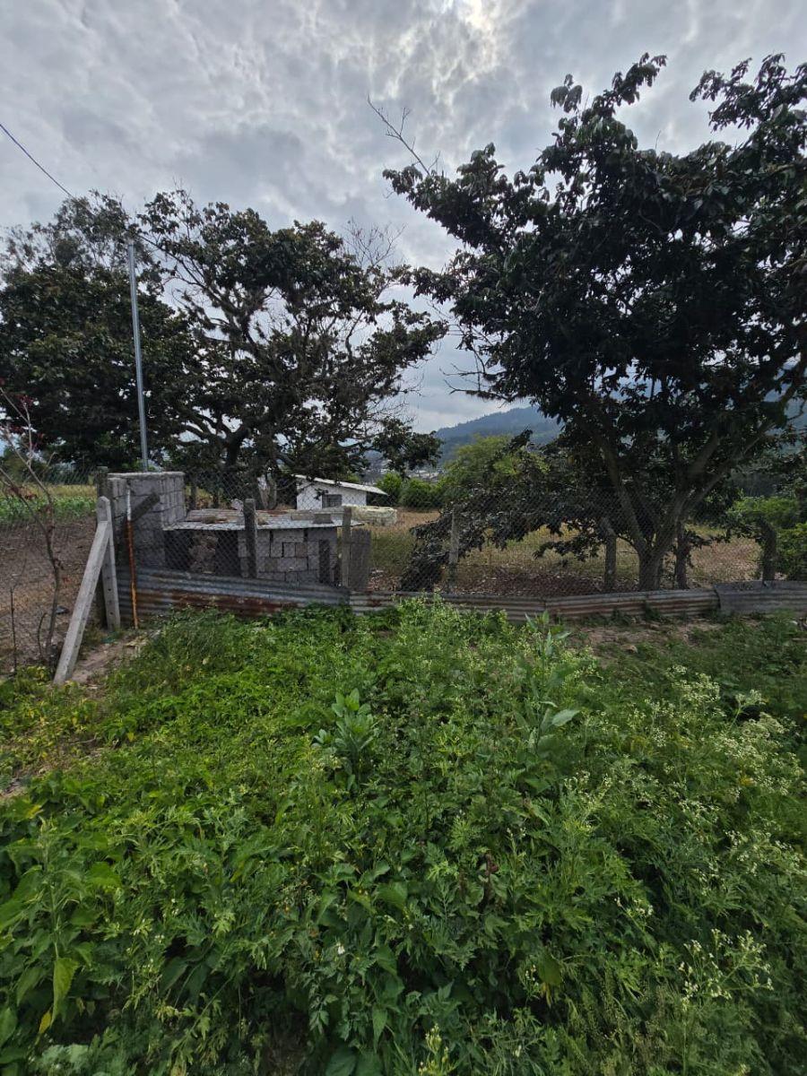 Terreno de 500 m² en Venta en Cumbayá con Fácil Acceso. Provincia de Pichincha — imagen 10