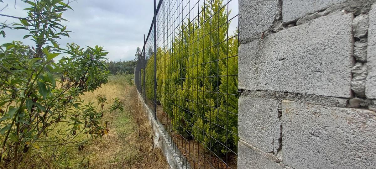 Hermoso Terreno 1.000 m² - Urb. Privada - La Salle - Conocoto — imagen 4