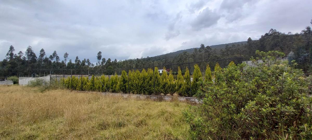 Hermoso Terreno 1.000 m² - Urb. Privada - La Salle - Conocoto — imagen 2