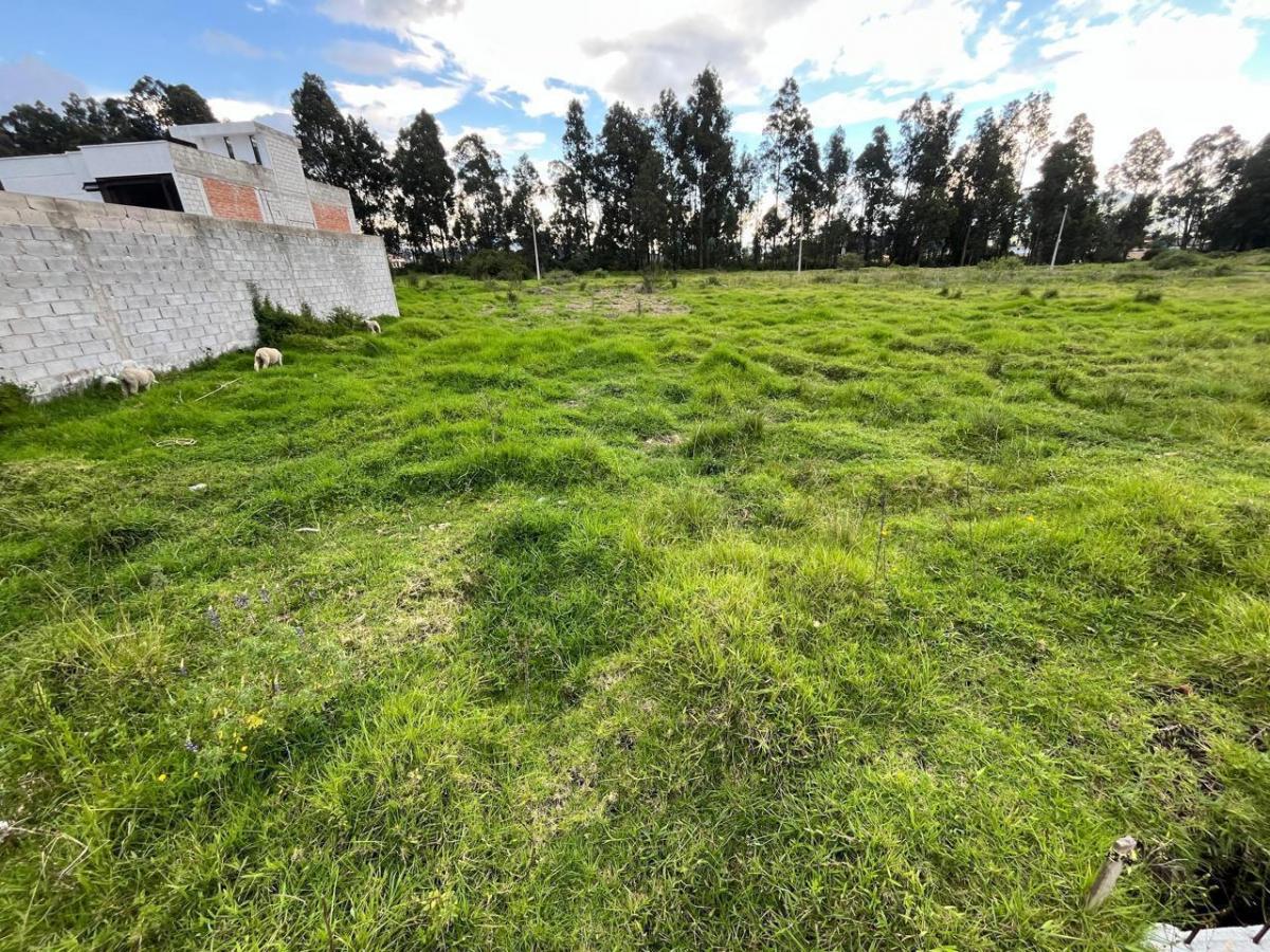 Se Vende Lote de 200 m en El Sector de La Salle, en Conocoto — imagen 8