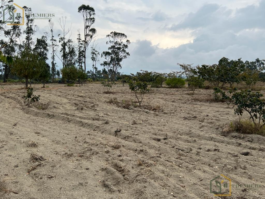 Terreno Para Quintas — imagen 6