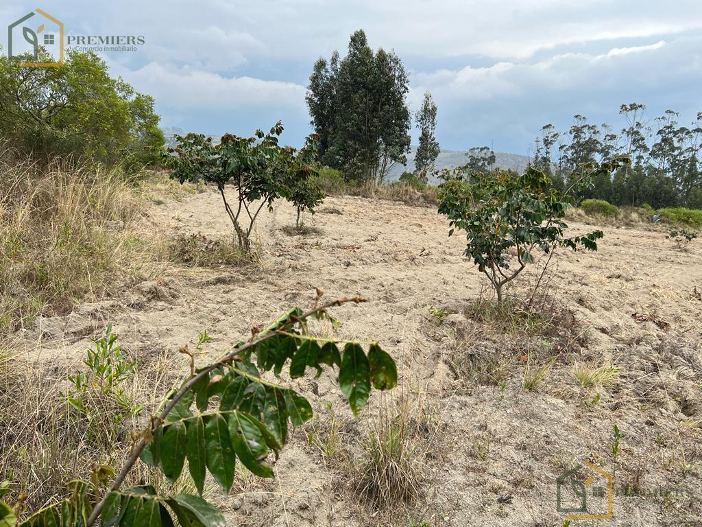 Terreno Para Quintas — imagen 5