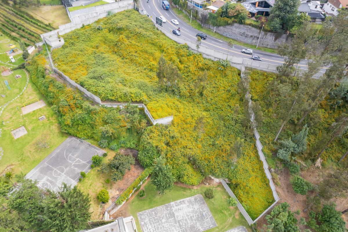 Miravalle 4, Cumbayá Terreno Venta 3.629 m² — imagen 9