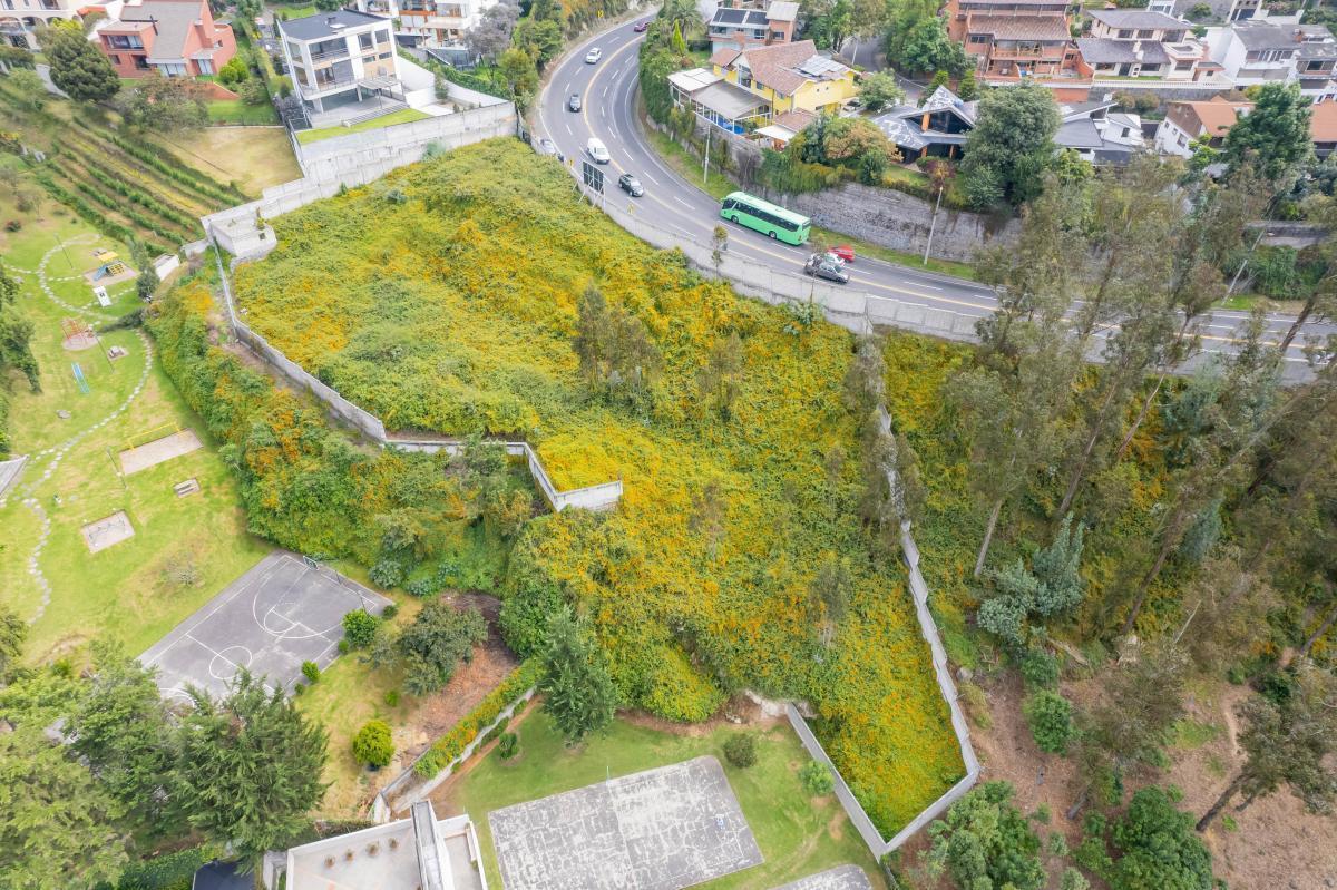Miravalle 4, Cumbayá Terreno Venta 3.629 m² — imagen 8