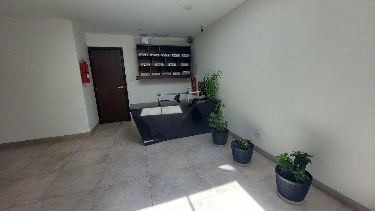 Venta Departamento Dos Dorm. - Bellavista — imagen 4