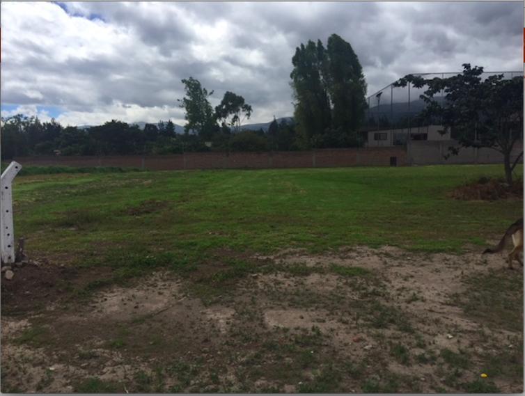 Puembo, Lotización de Venta - 5 Lotes Disponibles — imagen 5