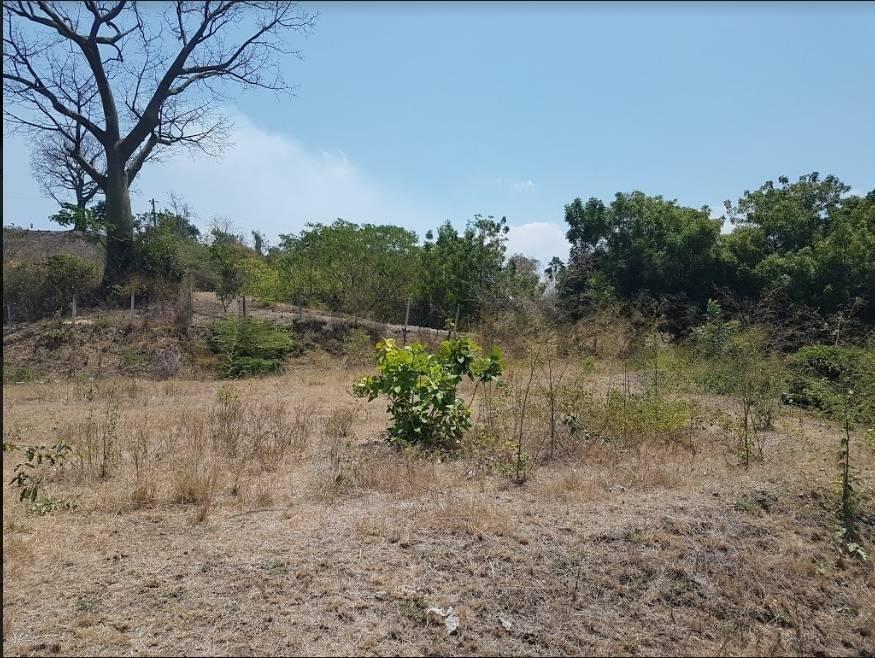 Vendo Terreno 4,320 m² Vía a La Costa Lotización Tiffany 42 m Frente Pcas, Guayas — imagen 2