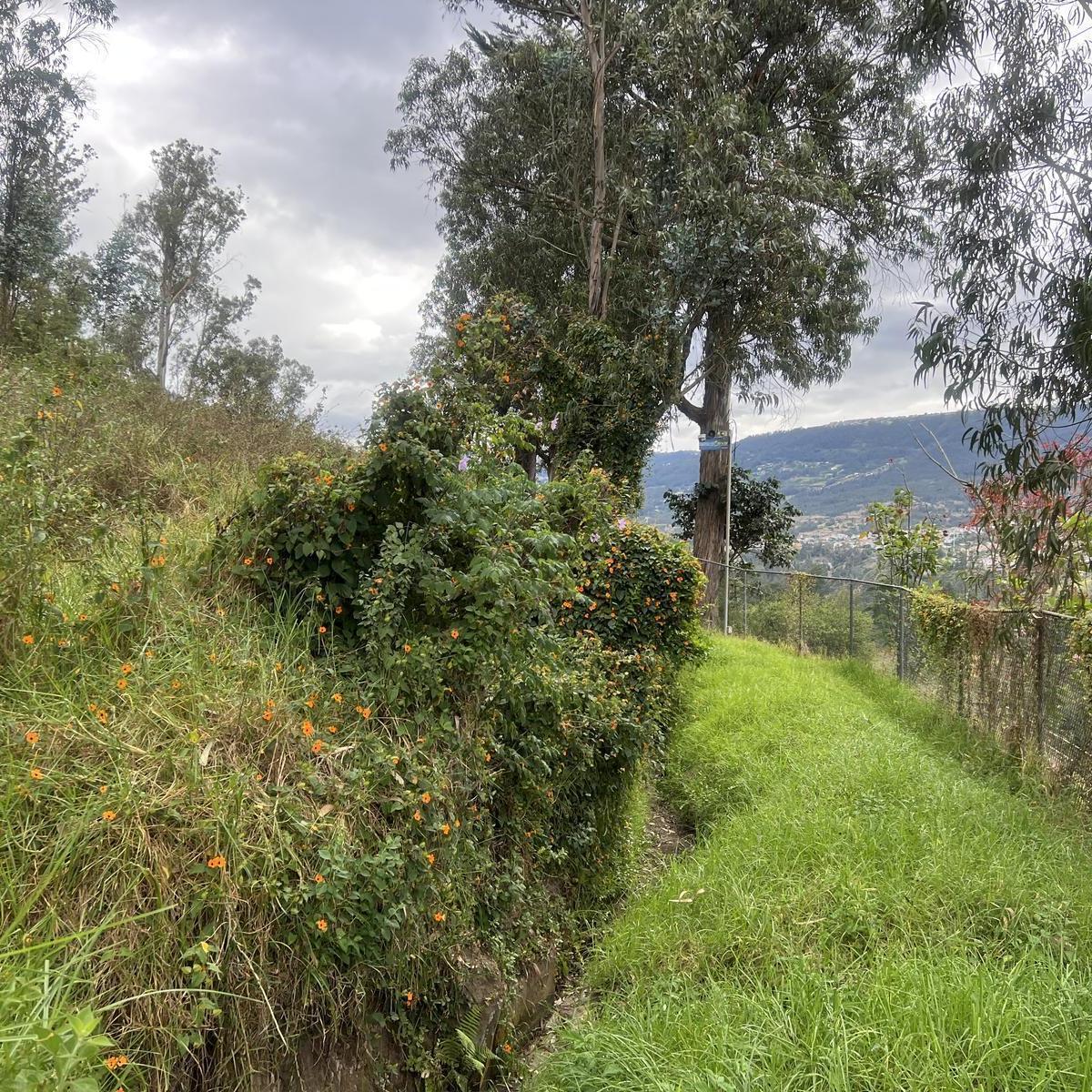 Terreno en venta en Quito, Pichincha