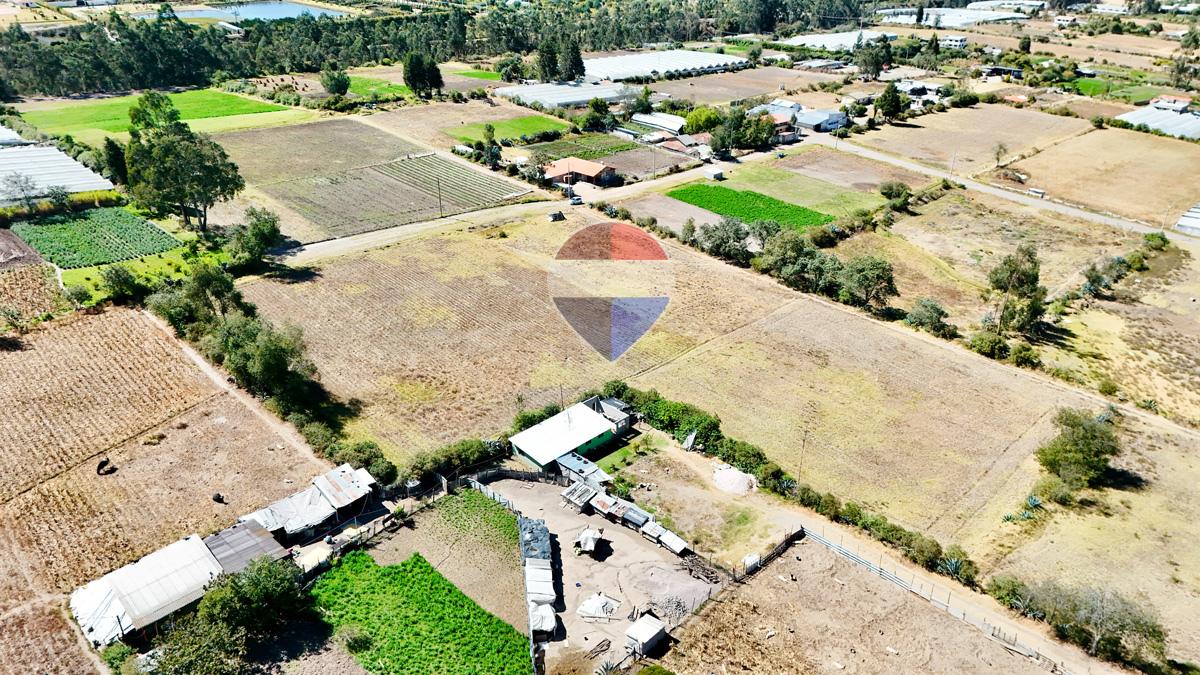 Terreno en Venta 10.555 m² en Tabacundo – Sector La Esperanza — imagen 5