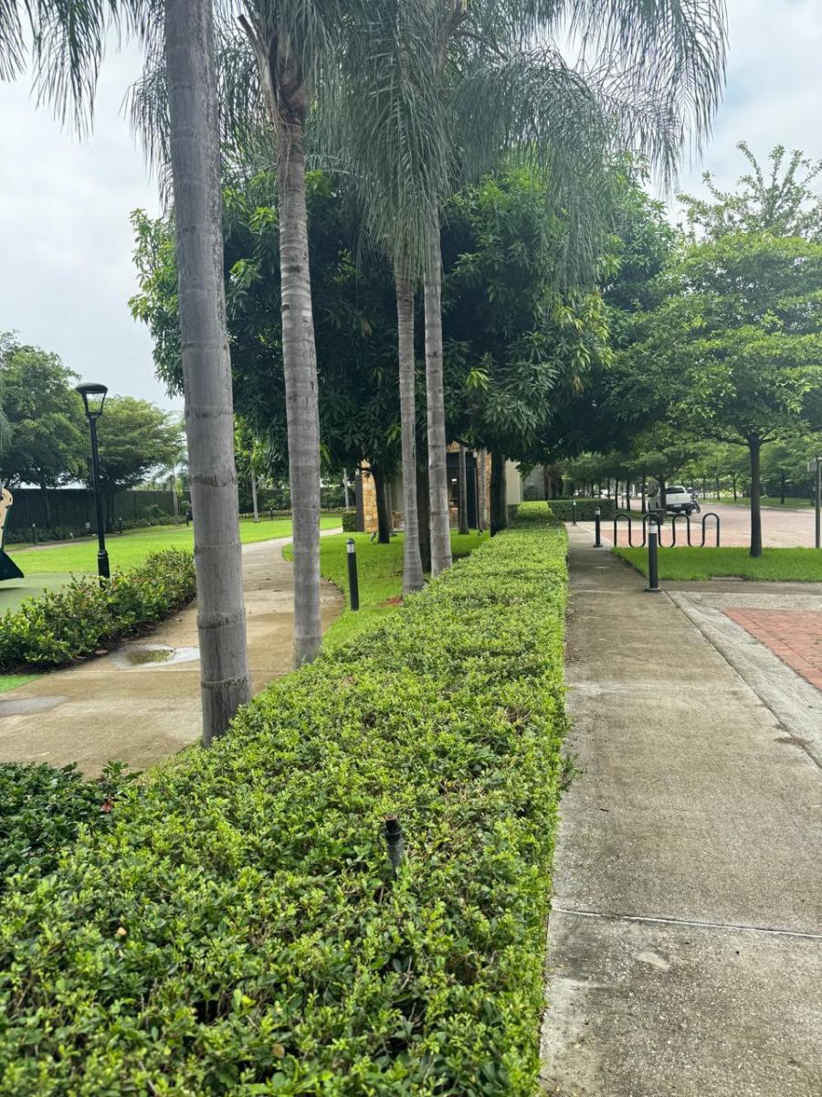 Terreno Al Lago en Urbanizacion Peninsula' Mocoli, Guayas — imagen 8