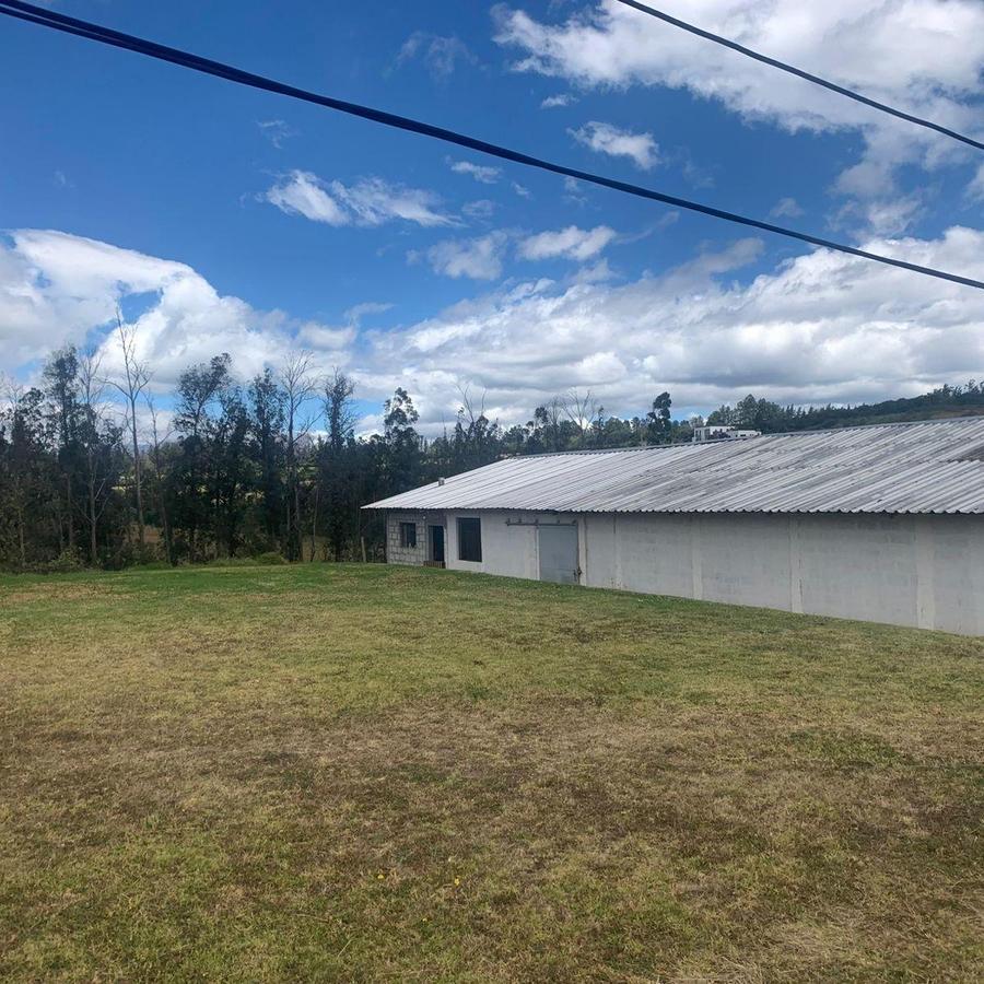 Pifo Venta Terreno en 2500 m² con Galpón 300 m — imagen 10