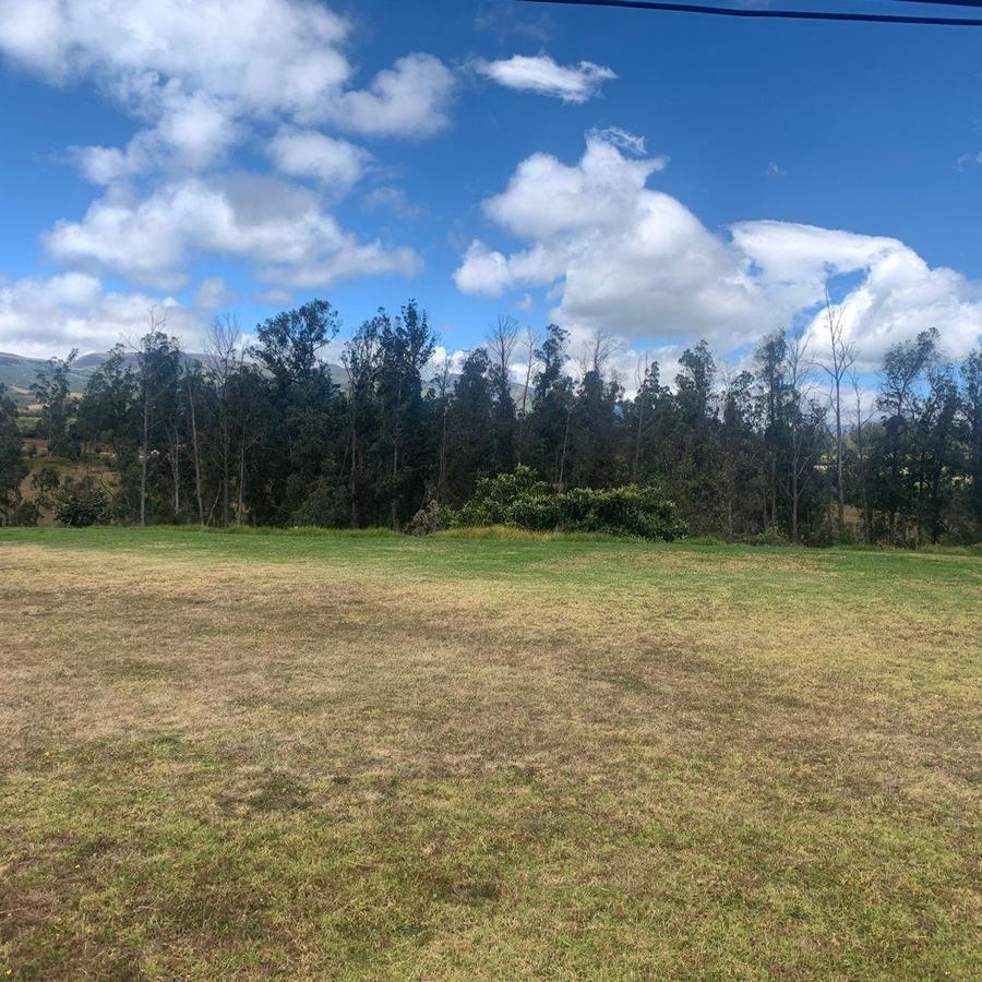 Pifo Venta Terreno en 2500 m² con Galpón 300 m — imagen 7