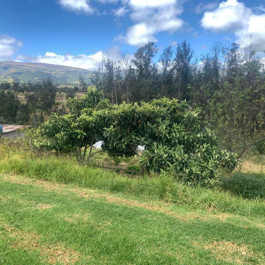 Pifo Venta Terreno en 2500 m² con Galpón 300 m — imagen 6
