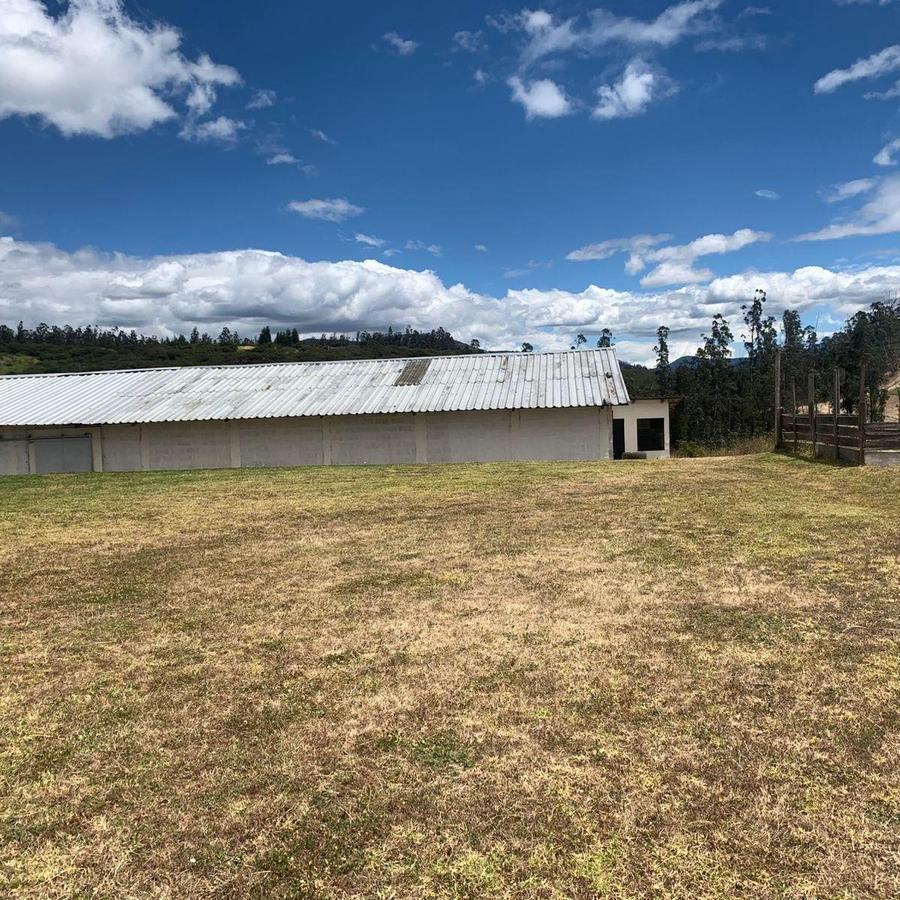 Pifo Venta Terreno en 2500 m² con Galpón 300 m — imagen 4
