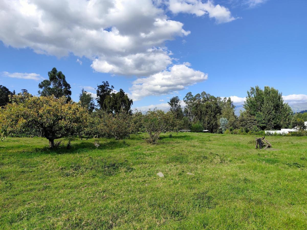 Terreno en Renta en San Francisco de Pinsha, 4.000 m², Ideal Para Turismo, Eventos y Gastronomía — imagen 6